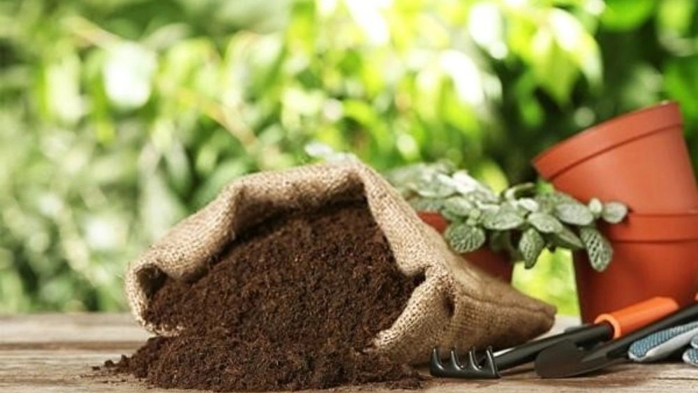 خرید کود فسفر مایع در فارس با قیمت روز و ارسال سریع