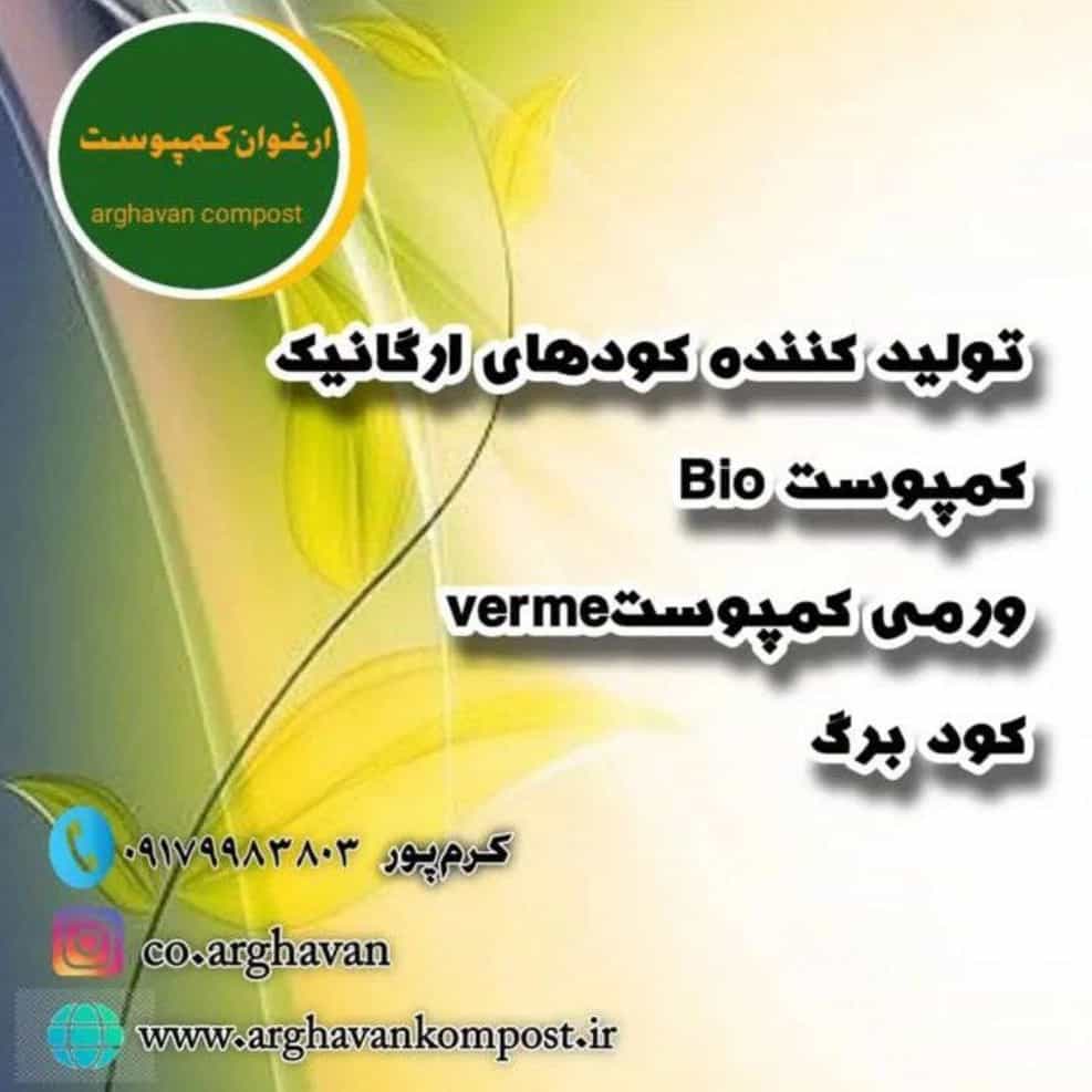 1740896211650.webp