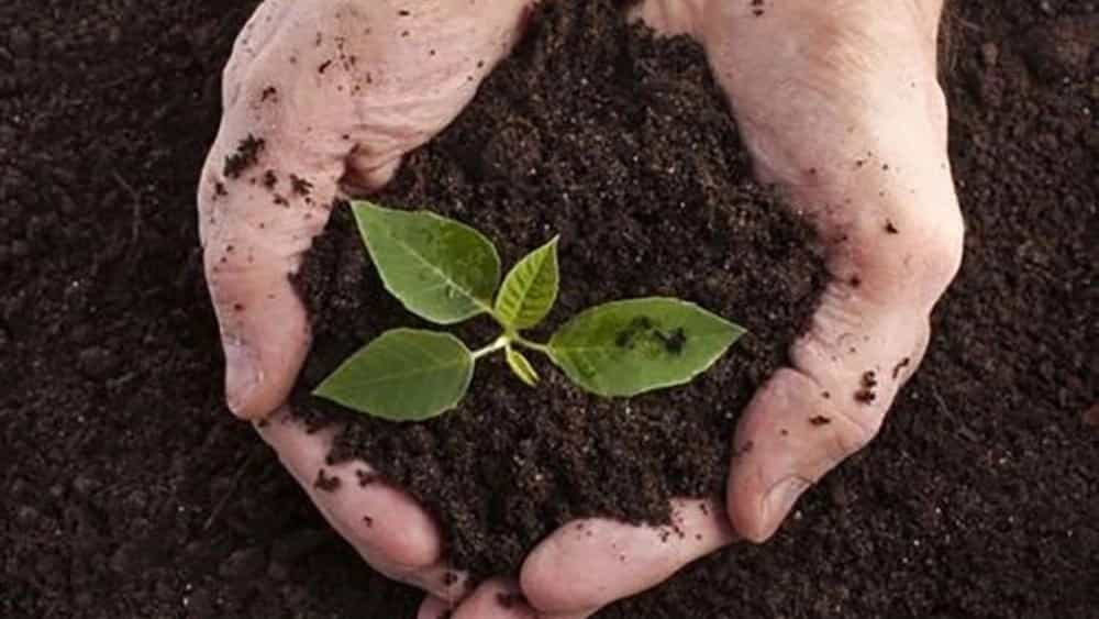 فروش کود ارگانیک طبیعی در فارس