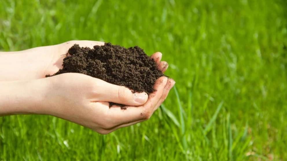 کود ورمی کمپوست برای گل