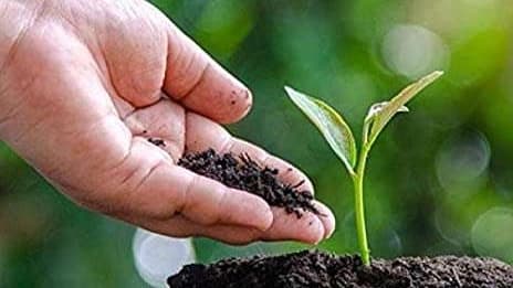 کود کمپوست غنی شده چیست؟