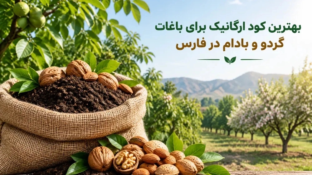 بهترین کود ارگانیک برای باغات گردو و بادام در فارس بهترین کود ارگانیک برای باغات گردو و بادام در فارس