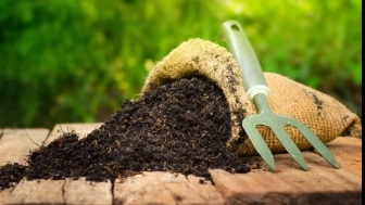 Properties of vermicompost fertilizer Properties of vermicompost fertilizer